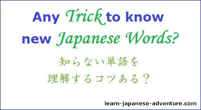 Learn Japanese  Learn japanese words, Japanese language, Basic