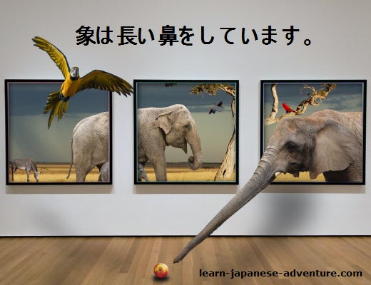 Japanese Grammar shite imasu Japanese Grammar shite imasu