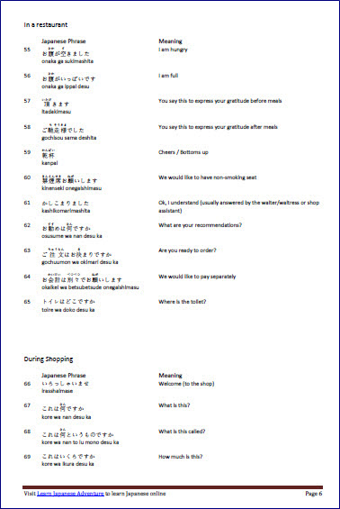 100+ Common and Useful Japanese Phrases eBook snapshot